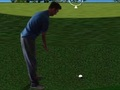 Žaidimas „Flash Golf 3D“  internete