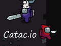 Žaidimas Katakas. io  internete