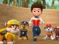 Žaidimas „Paw Patrol“ dėlionė  internete