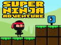 Žaidimas Super nuotykių Ninja  internete