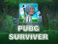 Žaidimas PUBG maitintojas  internete