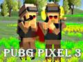 Žaidimas „Pubg Pixel 3“  internete
