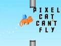 Žaidimas „Pixel“ katė negali skristi  internete