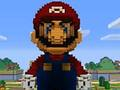 Žaidimas „Minecraft Mario“ dėlionė  internete