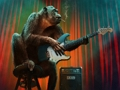 Žaidimas Beždžionių muzikos dėlionė  internete
