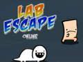 Žaidimas Lab pabėgimas internete  internete