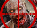 Žaidimas Negyvojo miesto zombių šaulys internete