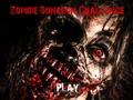 Žaidimas Zombie Dungeon iššūkis  internete