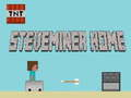 Žaidimas Steveminer namai  internete