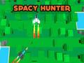 Žaidimas Space Hunter  internete