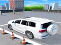 Žaidimas Prado automobilių stovėjimo aikštelė  internete