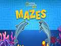 Žaidimas Nat Geo Kids labirintai  internete