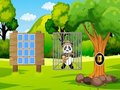 Žaidimas Išgelbėk Panda Explorer  internete