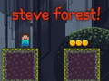 Žaidimas Steve'as Forestas  internete