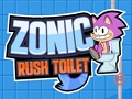 Žaidimas Sonic Rush tualetas  internete