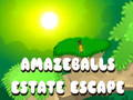 Žaidimas „Amazeballs Estate Escape“ internete