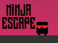 Žaidimas Nindzių pabėgimas  internete