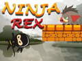Žaidimas Nindzė Reksas  internete