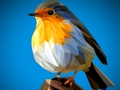 Žaidimas Poly Birds Jigsaw internete