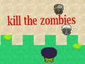 Žaidimas Nužudyk zombius  internete