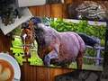 Žaidimas Jigsaw Puzzle Horses leidimas  internete