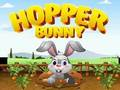 Žaidimas Bunny Bunny  internete
