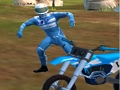 Žaidimas Dirt Bike Max dvikova  internete