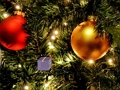 Žaidimas Raskite žaislą vaikui  internete
