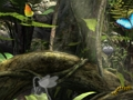 Žaidimas Fairy Woods paslėpti objektai  internete