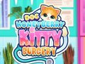Žaidimas Doc HoneyBerry Kitty chirurgija  internete