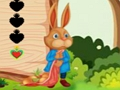 Žaidimas Voverės pabėgimas  internete