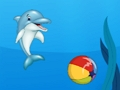 Žaidimas Delfinų šou  internete