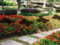 Žaidimas „Leaf Farm Garden Escape“.  internete