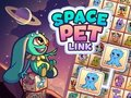 Žaidimas Space Pet Link internete