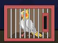Žaidimas Išleisk The Cockatiel Bird  internete