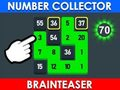 Žaidimas Skaičių rinkėjas: Brainteaser  internete
