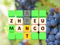 Žaidimas Word skaidrė  internete