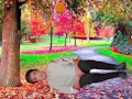 Žaidimas Išgelbėk sužeistą vaikiną  internete