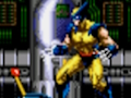 Žaidimas Wolverine – Adamantium Rage  internete