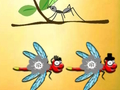Žaidimas Raskite Dragonfly Cooper  internete