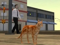 Žaidimas Cat City simuliatorius  internete