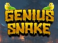 Žaidimas Geniali gyvatė  internete