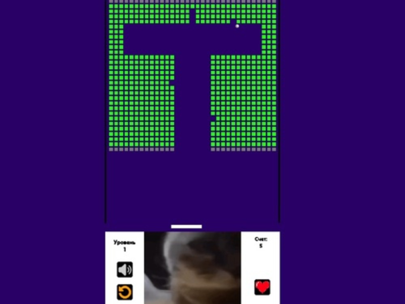 Žaidimas Plytų laužytojas Chipi Chipi Chapa Chapa Cat  internete