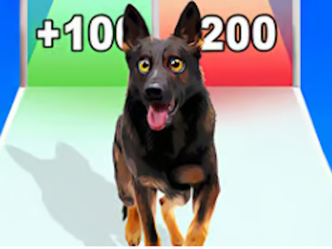 Žaidimas Šunų evoliucijos bėgimas  internete