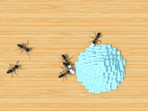 Žaidimas „Ant Smasher 3D“.  internete
