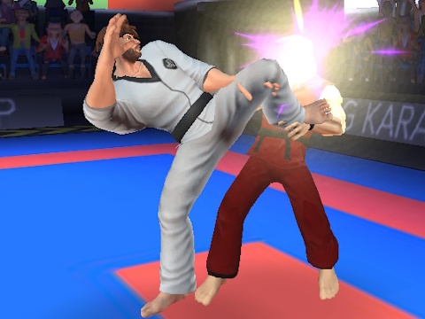 Žaidimas Karate kovotojas  internete