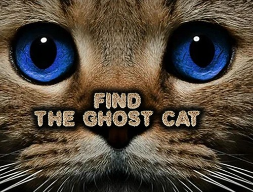 Žaidimas Raskite „Ghost Cat“  internete