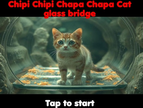 Žaidimas Chipi Chipi Chapa Chapa Cat Glass tiltas  internete