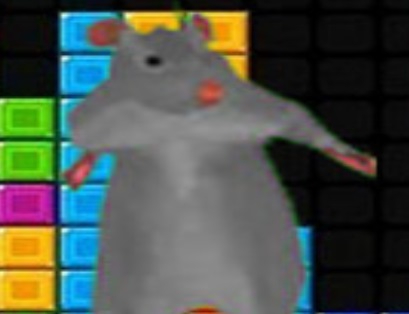 Žaidimas „Ratomilton“ krintantys blokai  internete