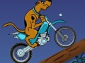 Žaidimas „Scooby Doo“ takas  internete
